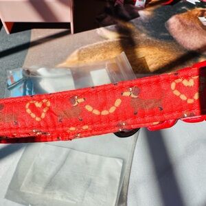 New Collars With Dachshund Dogs & Hot Dogs 🌭 😂